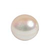 BIRTHSTONES PEARL (MOTI)