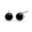 Silver Black Studs Earrings