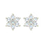 Silver Star Earring