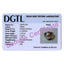 Certified Zircon 8.3cts or 9.25ratti 92.5 Sterling Silver Adjustable Ring