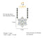 CLARA 925 Sterling Silver Rhodium Plated Star Pendant Earring Necklace Set with Chain Gift for Women and Girls